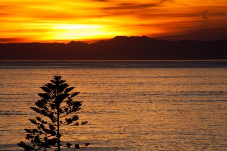 20101114-002.jpg