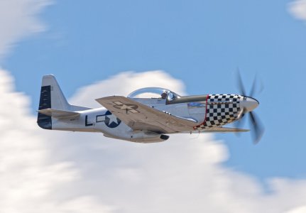 0R1A7432_DxO.jpg