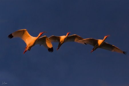 BS9A8588-Edit-Edit copy-2.jpg