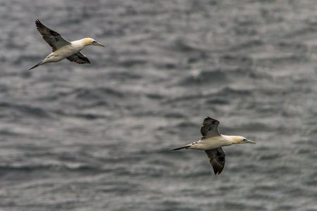 Orkney2025_3344.jpg