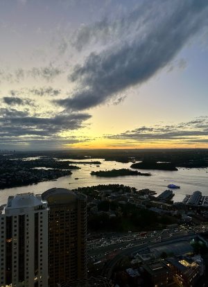 IMG_4809.jpeg