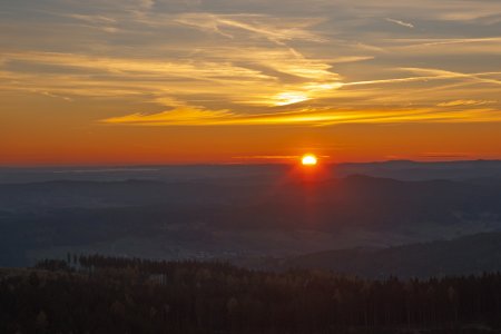 _DSC5398.jpg