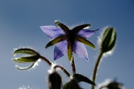 DSCF0694.JPG