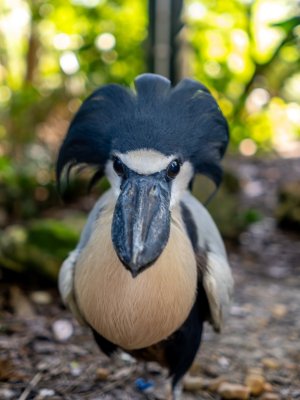 Zoo_7.26.25_1.jpg