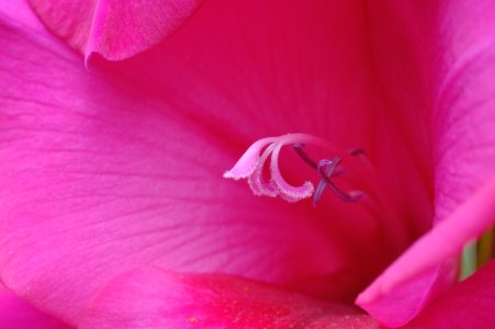 DSCF0722.JPG