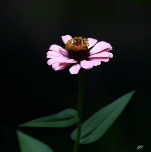 IMG_4191.JPG
