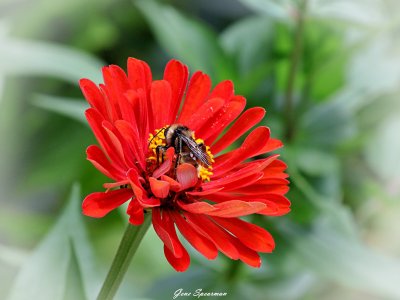 IMG_3496.JPG