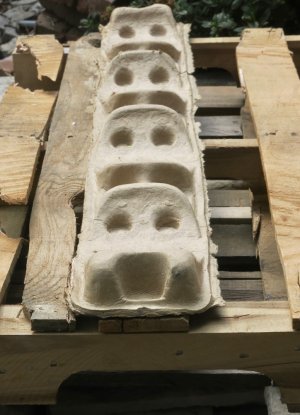 pareidpackgppr8.13.25.jpg pareidpackgppr8.13.25.jpg