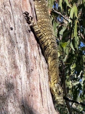 IMG_001627 Crop 1600 FR.jpg