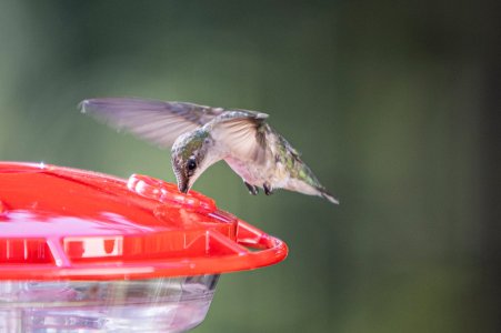 FQ0A0072.jpg FQ0A0072.jpg