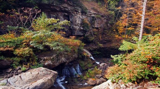 2598 Laurel Creek, WV.jpg