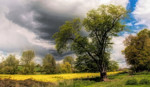 Quintesential England.jpeg