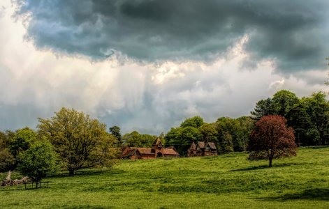 The Dairy Farm-Edit.jpeg