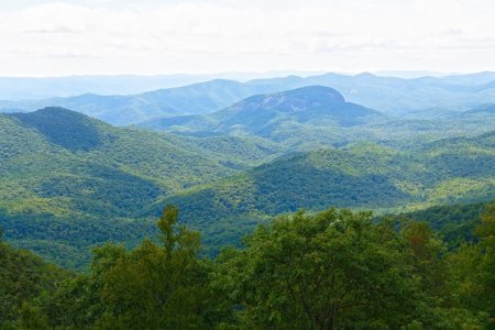 Nikon D850 DSC_0134-s.jpg