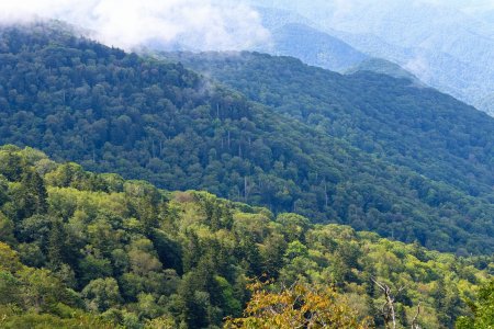 Nikon D850 DSC_0111-s.jpg