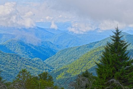 Nikon D850 27-70F2.8E DSC_0107.jpg