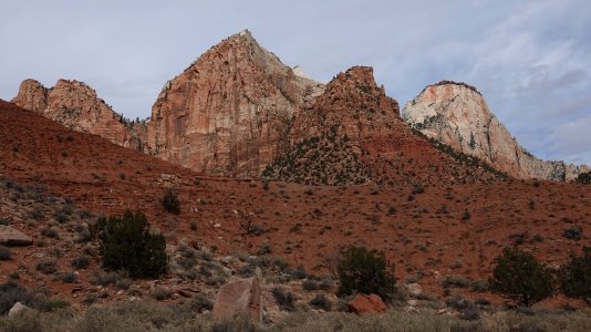 5151 Zion N P, UT.jpg