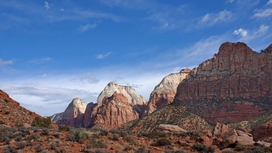 5150 Zion N P, UT.jpg