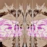 gerards artzone