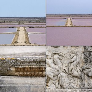 Saraspics samples