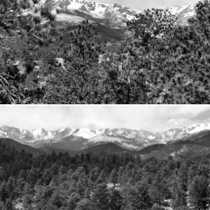 Grayscale Shots