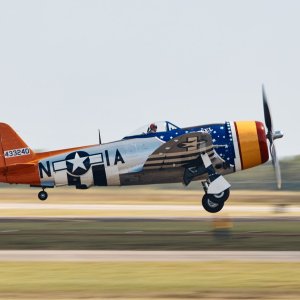 301A1255.jpg