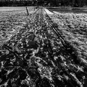 065A7249.2-2.jpg