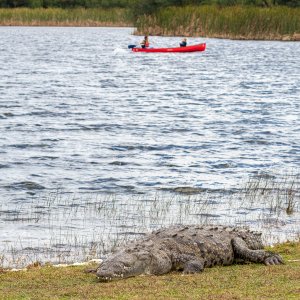 Croc-6074200210.jpg