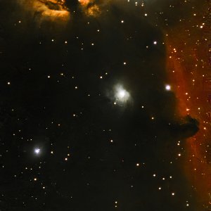 Horsehead removed green-1 copy.jpg