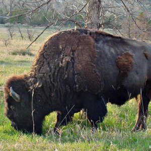 0139 Medora, ND.jpg