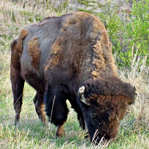 0141 Medora, ND.jpg
