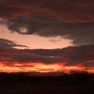 1859 Sierra Vista, AZ.jpg