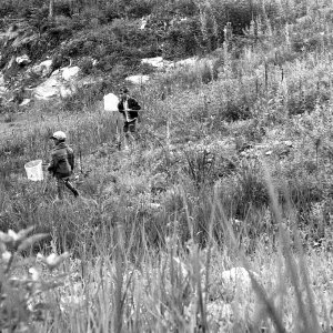bwscans174-2.JPG