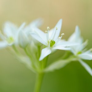 IMG_4308.jpg