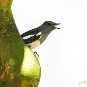 IMG_1562.jpg