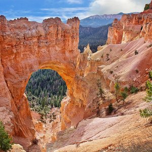 Bryce Natural Bridge 10x8.jpg