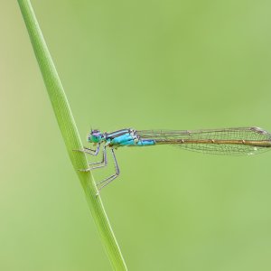 Stack-IMG_5681-IMG_5694.jpg
