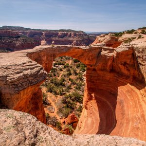 0083 Rattlesnake Canyon, 5-3.jpg