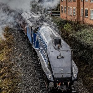 065A0768.2-2.jpg