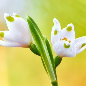Stack-IMG_6288-IMG_6310.jpg