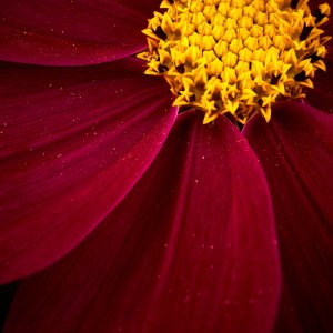 IMG_4482.jpg