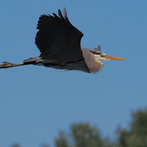 P5130976.jpg