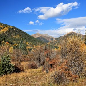 Colorado resized.jpg