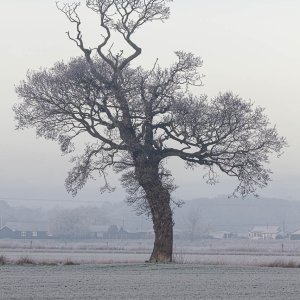 20230122-09-35-09  IMG_9524-HDR.jpg