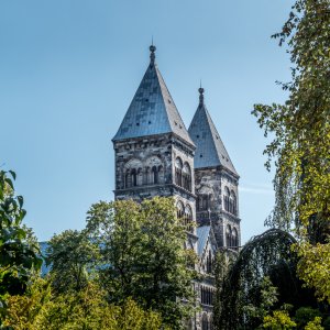 P1000619.jpg