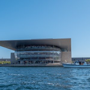 P1000731.jpg