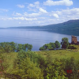 Tray43 (89)-topaz-denoise-sharpen.jpg