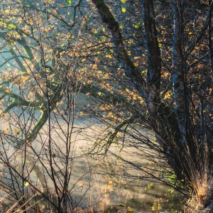 DSC_1916-2.jpg