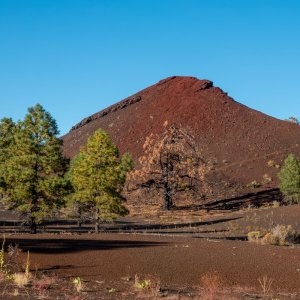 2445 Sunset Crater Volcano NM, AZ.jpg