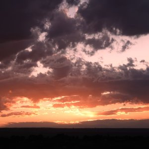 0721 Montrose.jpg